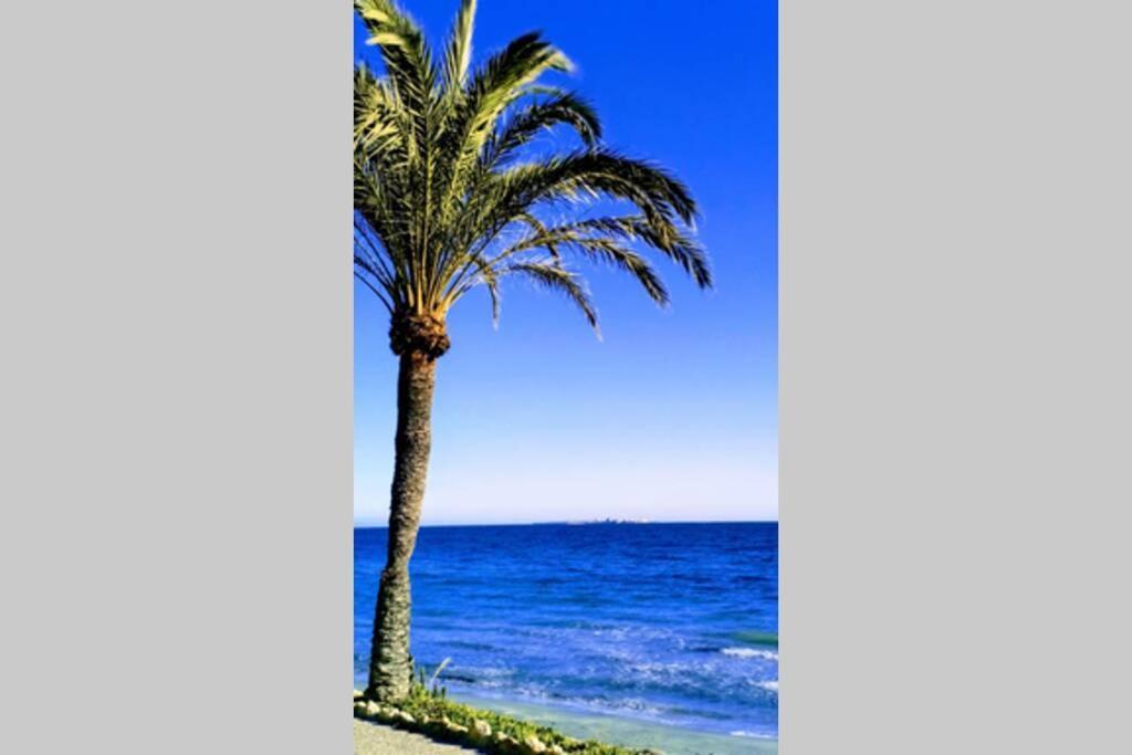 Apartamento Centrico Santa Pola Exteriör bild
